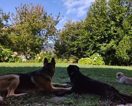 O Lughar Darriba Fogar Natural Сasa de vacaciones Gallardo