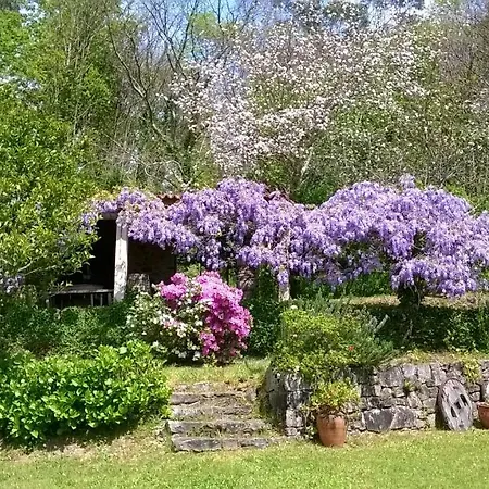 Сasa de vacaciones O Lughar Darriba Fogar Natural *