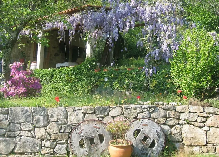 O Lughar Darriba Fogar Natural * Gallardo